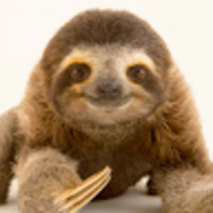 Meet your Posher, Camp